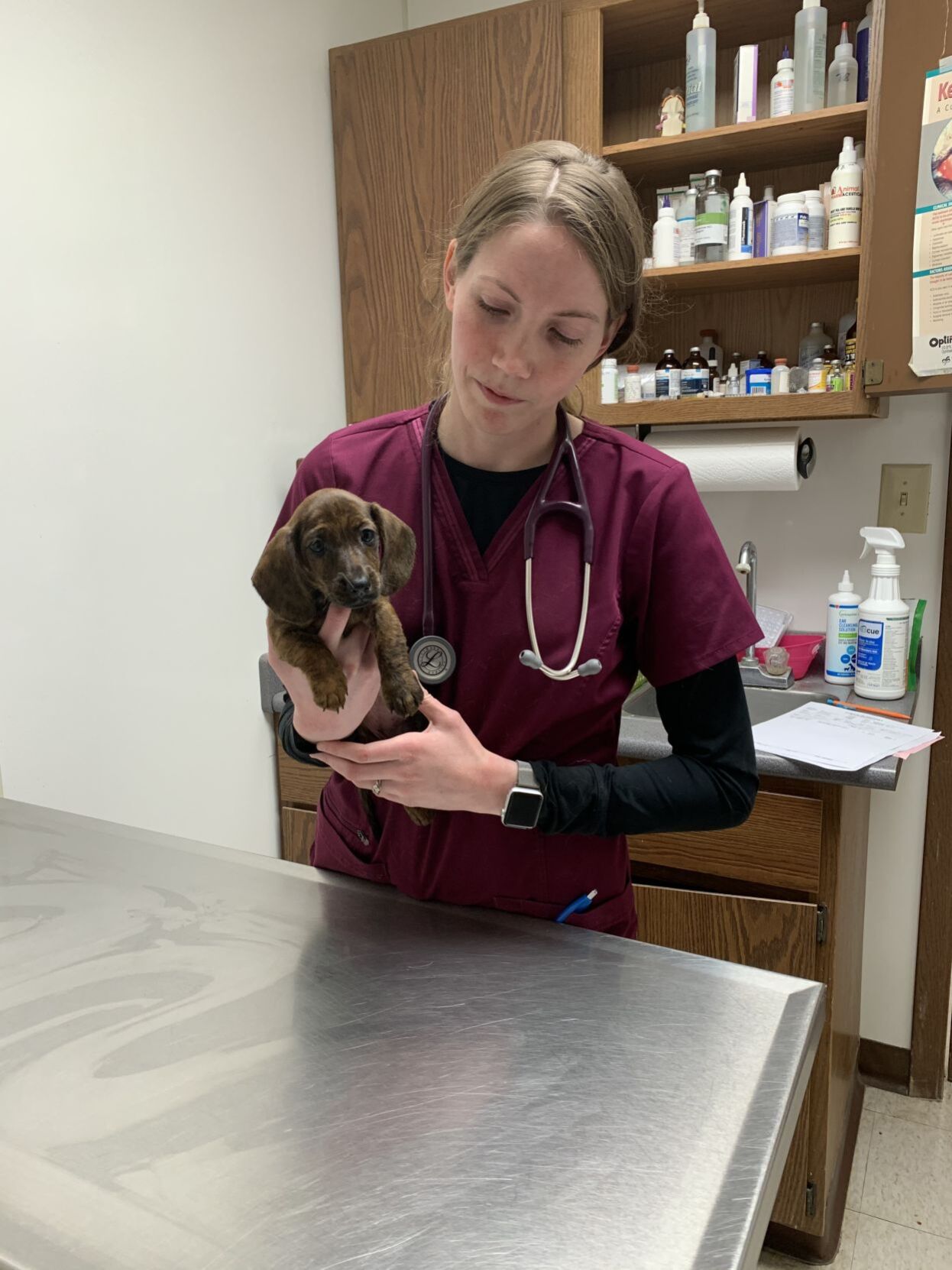 Dr. Ceara Mullins with canine.jpeg